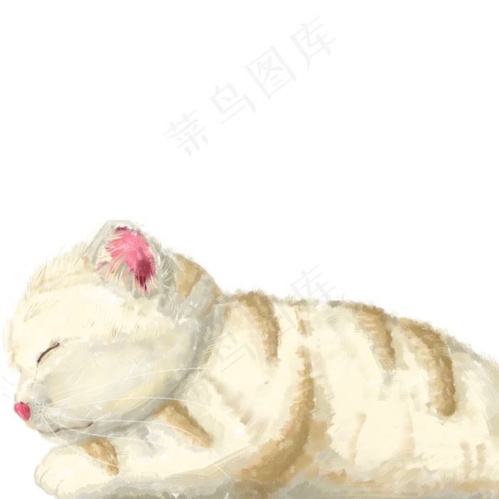 手绘一只趴着的温暖肥猫,免抠元素(1024*1369px 72 dpi )psd模版下载