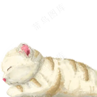 手绘一只趴着的温暖肥猫,免抠元素