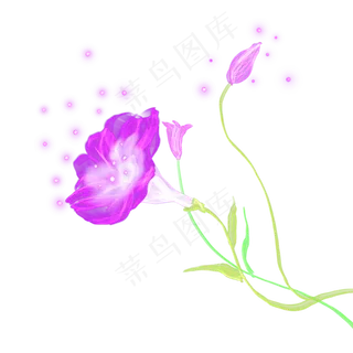 光感荧光装饰牵牛花,免抠元素