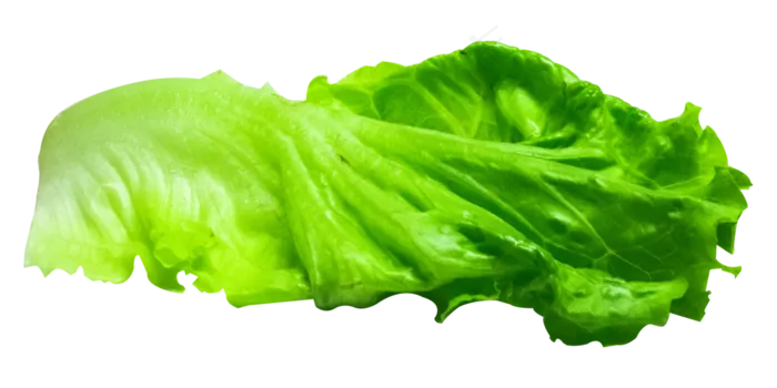青菜菜叶子,免抠元素(4000*2000px 300 dpi )