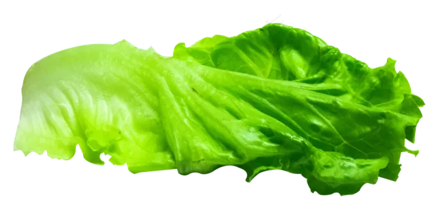 青菜菜叶子,免抠元素