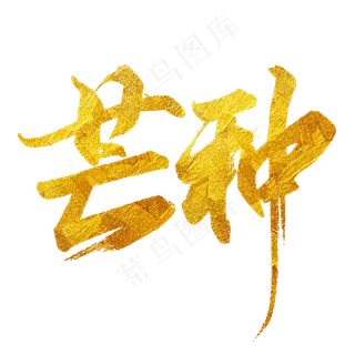 芒种二十四节气