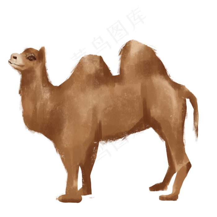 沙漠动物骆驼,免抠元素(3000X3000(DPI:300))psd模版下载