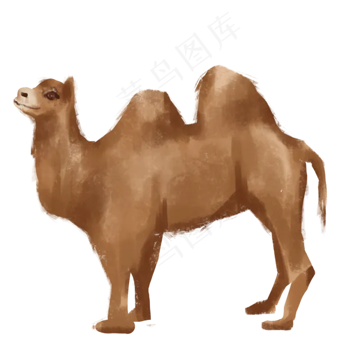 沙漠动物骆驼,免抠元素(3000X3000(DPI:300))psd模版下载