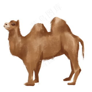 沙漠动物骆驼,免抠元素
