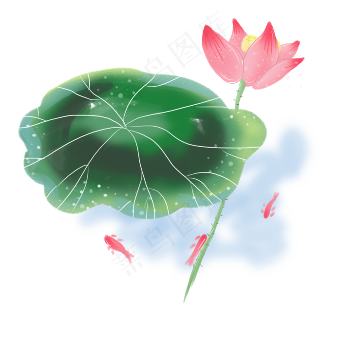 绿色的荷叶免抠图