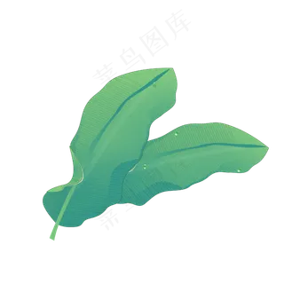 春天绿色水彩树叶