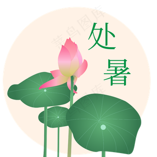 二十四节气素材处暑荷花荷叶