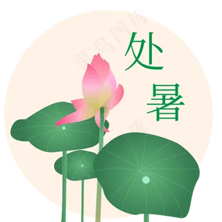 二十四节气素材处暑荷花荷叶