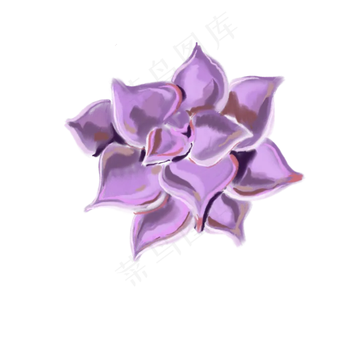 一朵紫色盛开的花免抠插图(2000X2000(DPI:132))psd模版下载