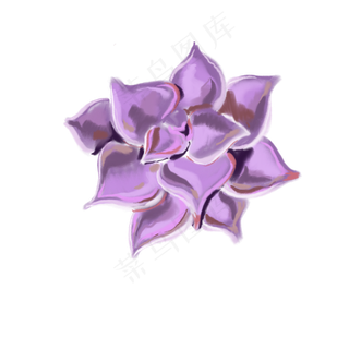 一朵紫色盛开的花免抠插图