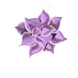 一朵紫色盛开的花免抠插图