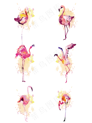 创意大气水彩风动物火烈鸟元素