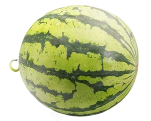 一个水果西瓜