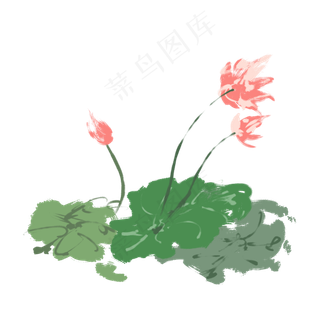 水彩清新淡雅荷花