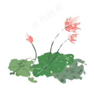 水彩清新淡雅荷花