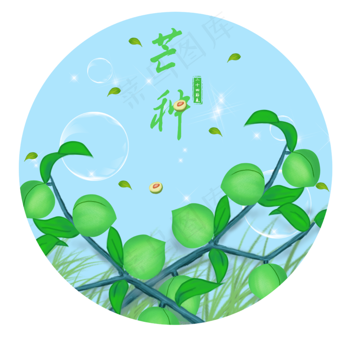 二十四节气芒种小清新手绘青梅插(2435X2424(DPI:300))psd模版下载