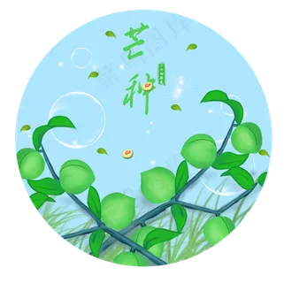 二十四节气芒种小清新手绘青梅插