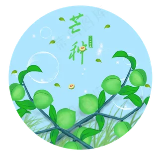 二十四节气芒种小清新手绘青梅插