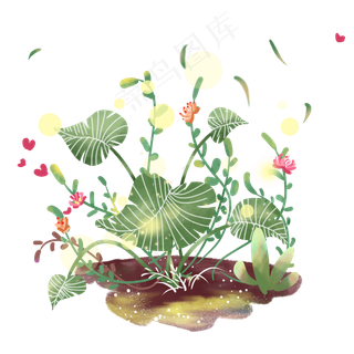 夏季热带树叶PNG图片,免抠元素