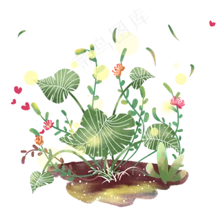 夏季热带树叶PNG图片,免抠元素