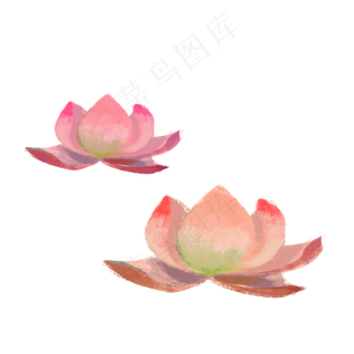 两个卡通荷花
