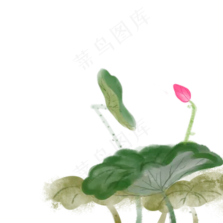 中国风古风水墨荷花