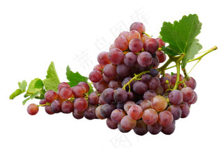 一大串紫葡萄