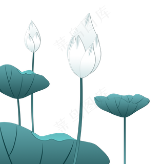 白色荷花夏季png素材