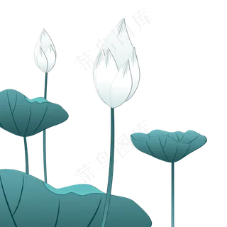 白色荷花夏季png素材