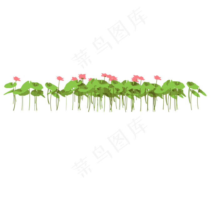 绿色的荷叶植物免抠图