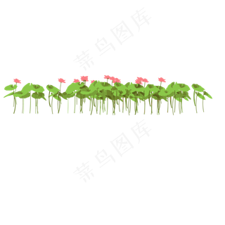 绿色的荷叶植物免抠图