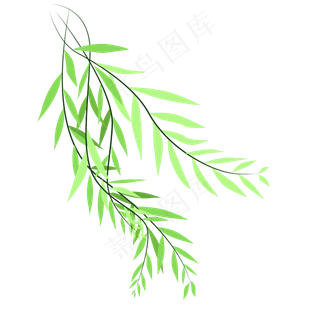 矢量卡通绿色柳叶,免抠元素