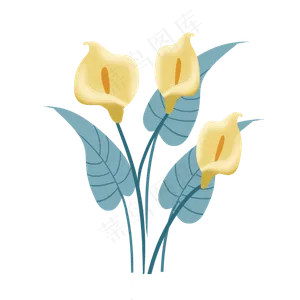 唯美马蹄莲花卉