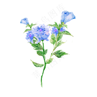 手绘免扣水彩花朵