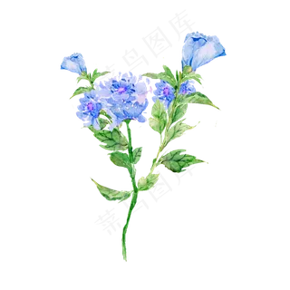 手绘免扣水彩花朵