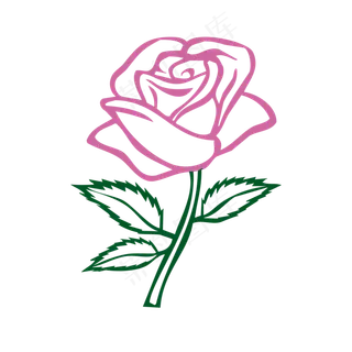 粉色玫瑰自然元素