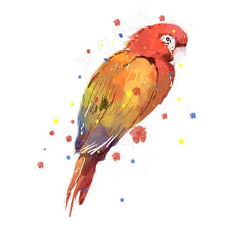 水彩动物鹦鹉素材