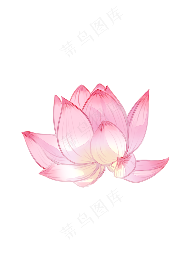 手绘夏日荷花PNG下载,免抠元素(2480X3508(DPI:300))psd模版下载