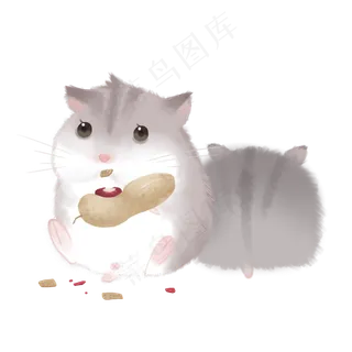 仓鼠动物宠物,免抠元素