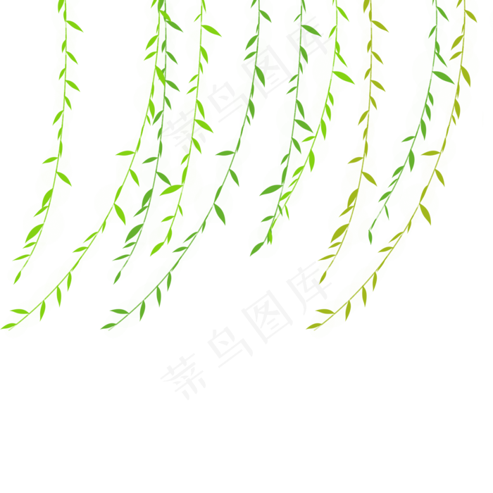 漂浮柳叶清明节