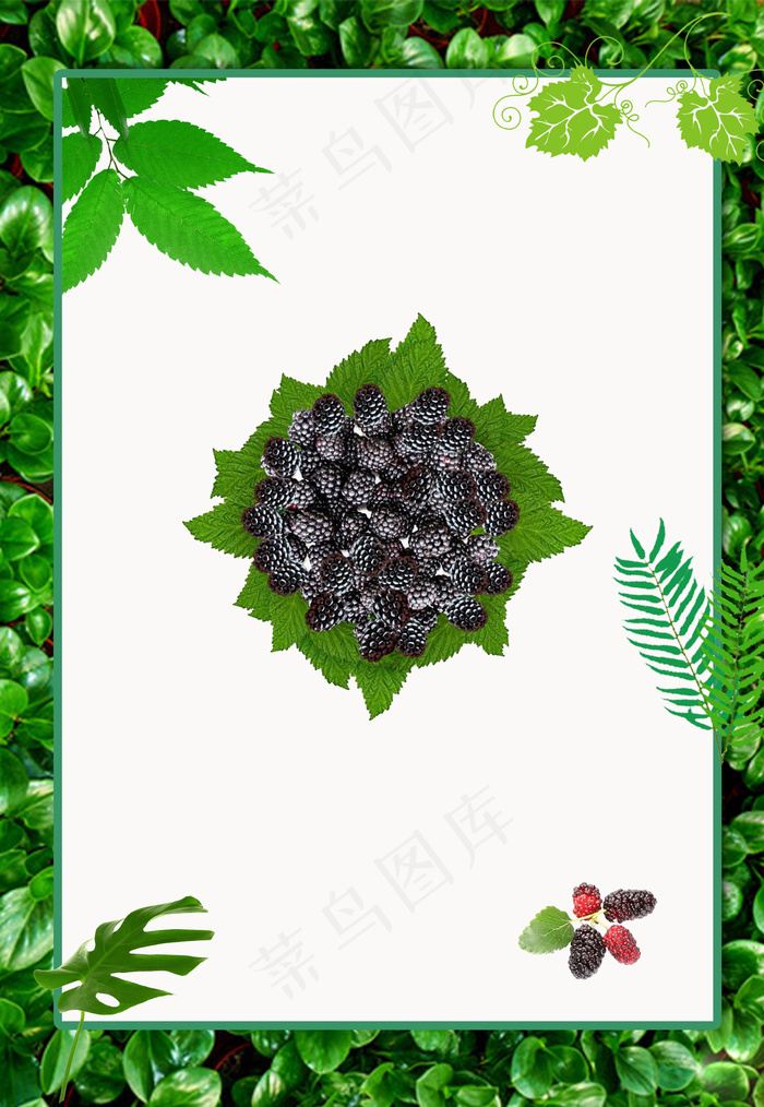绿叶覆盆子树莓水果广告海报背景素材