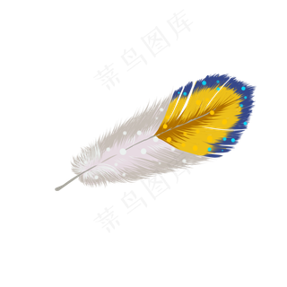 中国分手绘漂亮羽毛,免抠元素
