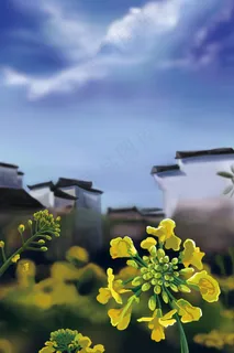 皖南之春徽州油菜花 皖南之春徽州油菜花