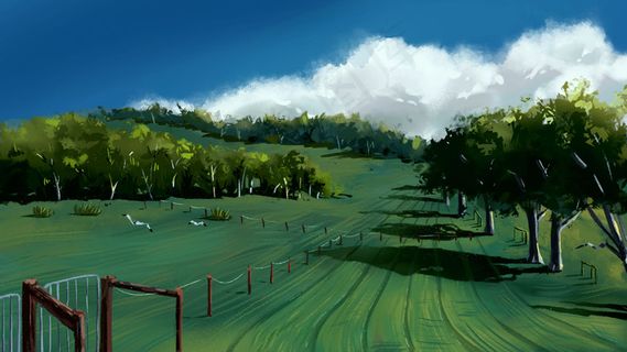 绿色系森林治愈系森林空镜头插图 绿色系森林治愈系森林空镜头插图