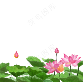 彩色植物开花元素