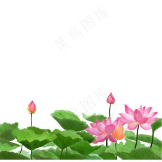 彩色植物开花元素