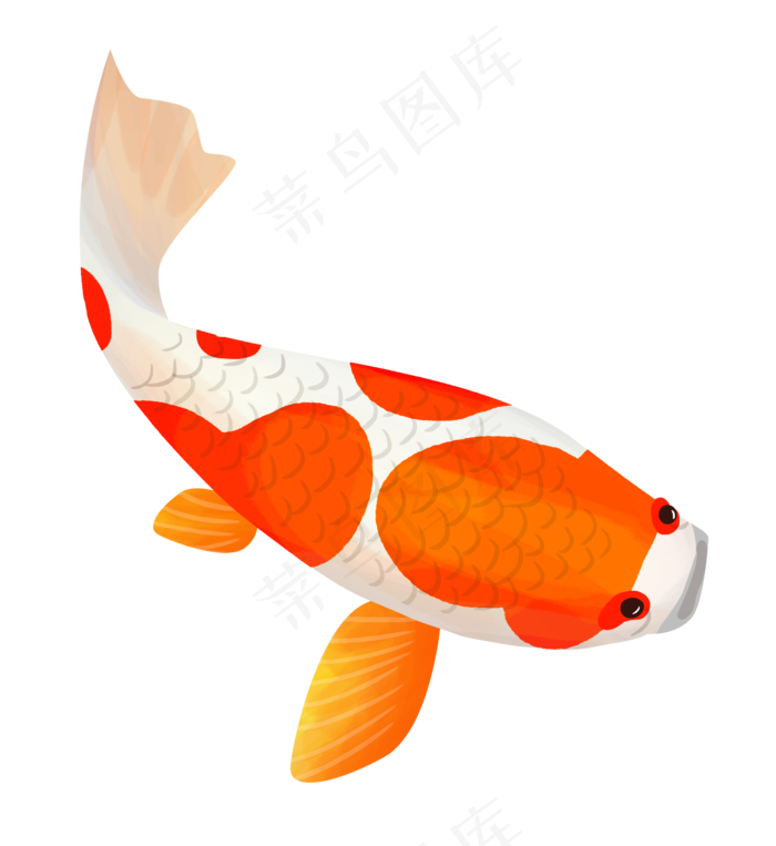 红色可爱的锦鲤插画,免抠元素