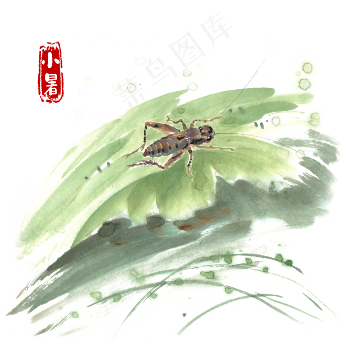小暑绿叶上的蛐蛐