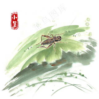 小暑绿叶上的蛐蛐